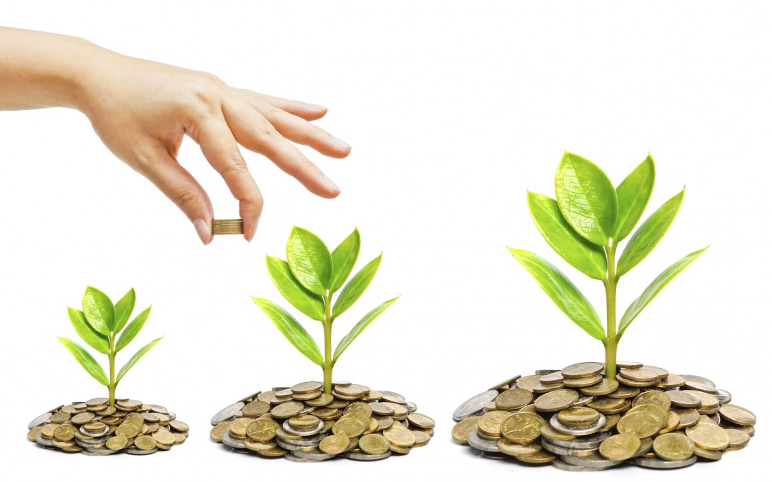 Como montar uma loja de produtos agropecuários