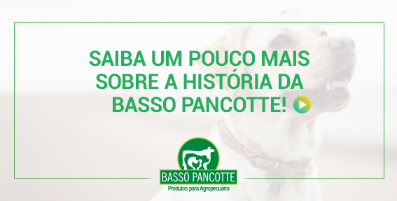 Conheça um pouco mais a Basso Pancotte