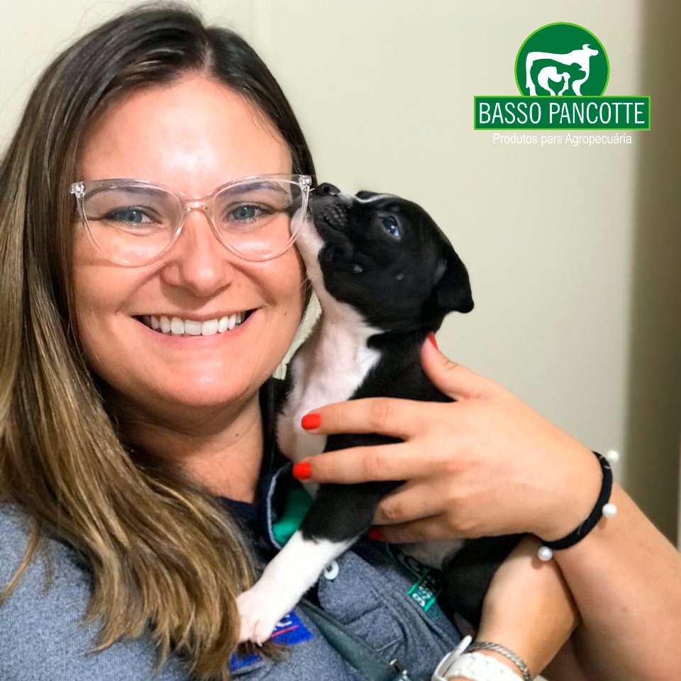 Você sabe as principais doenças em seu pet no verão? E como prevenir e tratar?