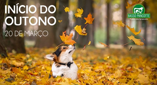 Chegou o outono…