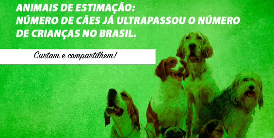 Animais de Estimação: Número de cães já ultrapassou o número de crianças no Brasil.
