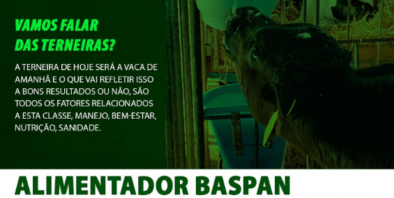 Vamos Falar das Terneiras?