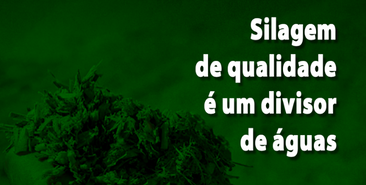 Silagem de Qualidade é um Divisor de Águas