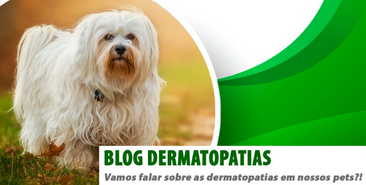 Vamos falar sobre as Dermatopatias em nossos pets?!