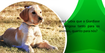 GIARDÍASE, É PERIGOSA AOS SERES HUMANOS?