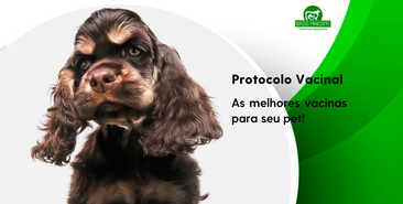 Protocolo vacinal – As melhores vacinas para seu pet