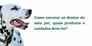 Como escovar os dentes do meu pet, quais produtos e cuidados devo ter?