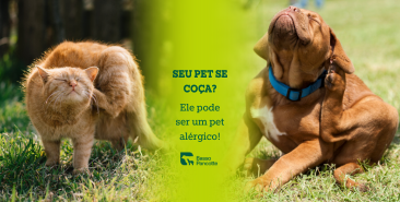 Seu pet se coça? Ele pode ser um pet alérgico!