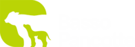 Basso Pancotte